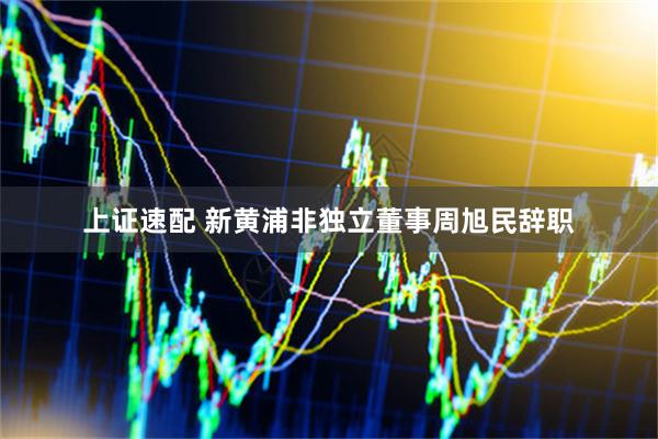 上证速配 新黄浦非独立董事周旭民辞职