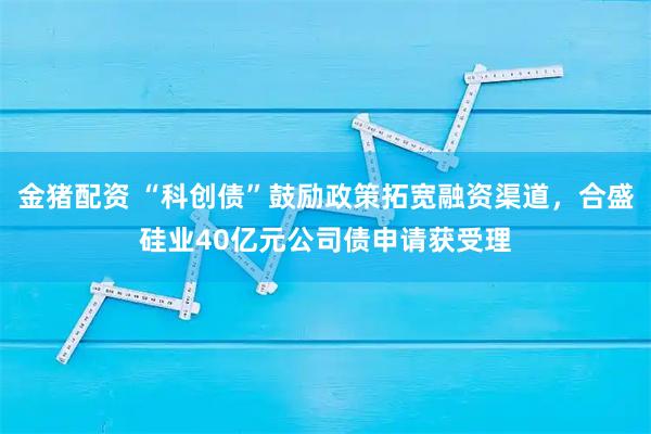 金猪配资 “科创债”鼓励政策拓宽融资渠道，合盛硅业40亿元公司债申请获受理