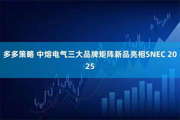 多多策略 中熔电气三大品牌矩阵新品亮相SNEC 2025