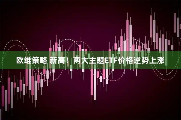 欧维策略 新高！两大主题ETF价格逆势上涨
