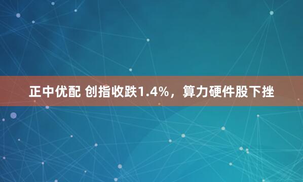 正中优配 创指收跌1.4%，算力硬件股下挫