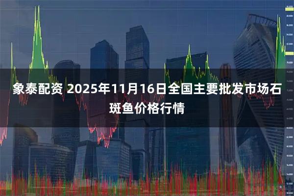 象泰配资 2025年11月16日全国主要批发市场石斑鱼价格行情