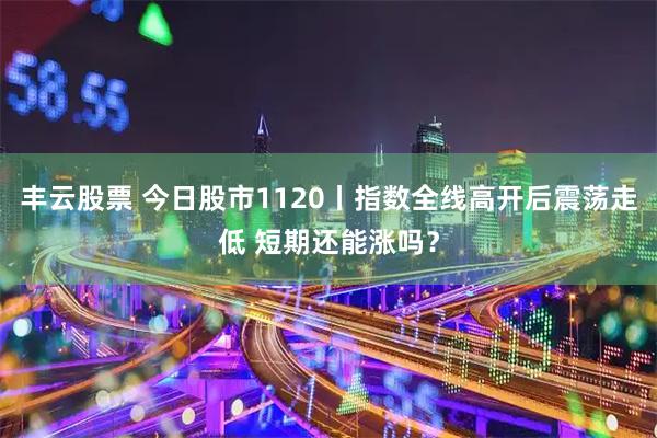 丰云股票 今日股市1120丨指数全线高开后震荡走低 短期还能涨吗？