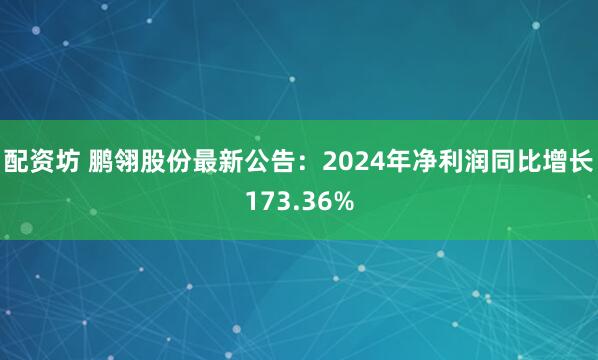配资坊 鹏翎股份最新公告：2024年净利润同比增长173.36%